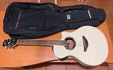 Chitarra elettroacustica ampli usato  Lavello