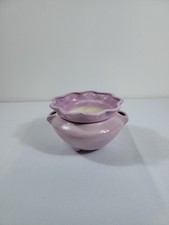 Spectrum african violet for sale  Saint Cloud