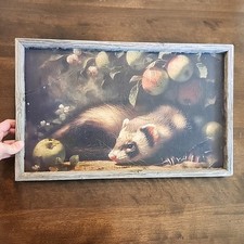 Ferret framed wall for sale  Boise