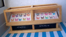butterfly cabinet for sale butterfly cabinet for sale THORNTON-CLEVELEYS