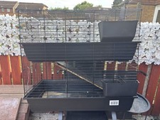 Rabbit guinea pig for sale  ILKESTON