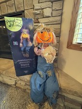 fiber optic pumpkin for sale fiber optic pumpkin for sale Minneapolis