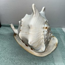 Horned king helmet for sale  Nevada City
