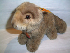 Steiff murmeltier drolly gebraucht kaufen  Gladbeck