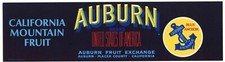 Auburn brand placer for sale  Chico