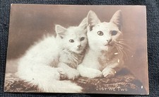 postcards vintage cats for sale postcards vintage cats for sale Trumbull