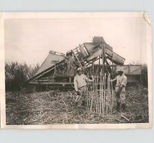 Colheitadeira de cana-de-açúcar revolucionária inventada por George D Luce foto de imprensa em 1922 comprar usado  Enviando para Brazil