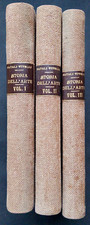 Storia dell arte usato  Torino
