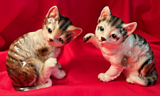 Adorable playful kitten for sale  Santa Barbara