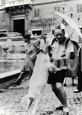 Vintage roma globetrotter usato  Roma