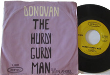 Donovan hurdy gurdy d'occasion  Rieux-Minervois