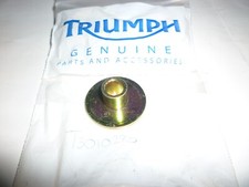 Triumph tiger trophy for sale Triumph tiger trophy for sale  GRAYS