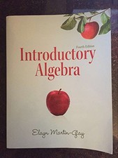 Introductory algebra martin for sale  USA