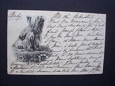 Cpa chien yorkshire d'occasion  Combs-la-Ville