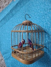 cage parrots bird for sale cage parrots bird for sale Holland