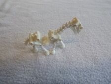 Lego pferdeskelett weiss gebraucht kaufen  Runding