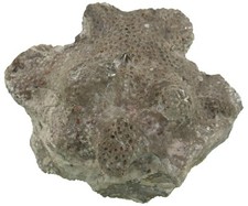 Eliolite silur cf. usato  Spedire a Italy