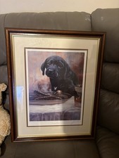 Wonderful ltd edition for sale  NUNEATON