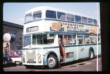 Copy bus slide for sale Copy bus slide for sale  PUDSEY