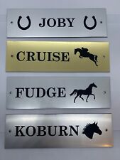 Personalised acrylic pony for sale  CHESTERFIELD