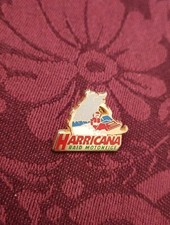 Pin pins pin d'occasion  France