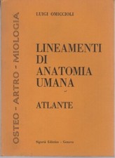 Lineamenti anatomia umana usato  Trento