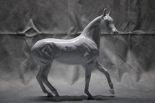 peter stone arabian for sale peter stone arabian for sale Constantine