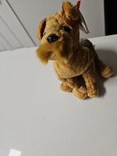 2000 beanie babies for sale  Lewisville