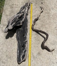 java fern driftwood for sale java fern driftwood for sale Livingston