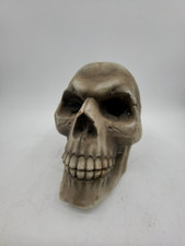 Small plastic skull for sale  Southlake