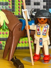 Playmobil indian lot for sale  Annandale