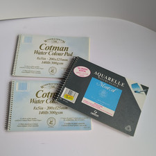 Winsor newton cotman for sale  NEWTOWN