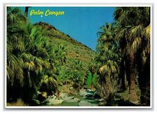 Palm canyon hot for sale  Oakland