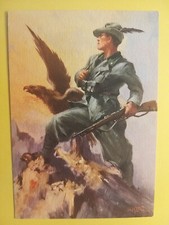 Reggimento alpini illustratore usato  Casalbuttano Ed Uniti