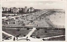 1091 cartolina grado usato  Lugo