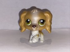 Petshop chien épagneul d'occasion  Toulon-