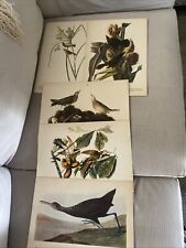 audubon prints for sale  The Villages