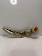 "Cuerno estilo vikingo natural pulido - Cuerno soplado decorativo de 10""". (A1) segunda mano  Embacar hacia Mexico