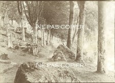 Pont aven 1900 d'occasion  Mouy
