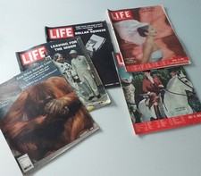 englisch magazine gebraucht kaufen englisch magazine gebraucht kaufen Neustadt an der Weinstraße