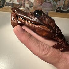 Vintage alligator head for sale  Hayward