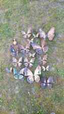 Farfalle butterfly metallo usato  Cittadella