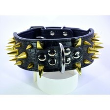 Collare ecopelle con usato Collare ecopelle con usato  Borgosesia