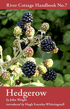 river cottage hedgerow for sale river cottage hedgerow for sale UK