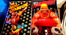 vintage wwf poster for sale  O Fallon