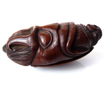 Rare coquilla nut for sale  BIRMINGHAM