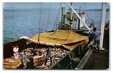Boatload salmon commercial for sale  Washington
