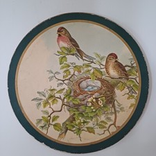 Lithographie oiseaux acanthis d'occasion  Antibes