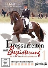 Dressurreiten begeisterung tei gebraucht kaufen  Berlin