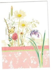 Country diary blank for sale  LIPHOOK